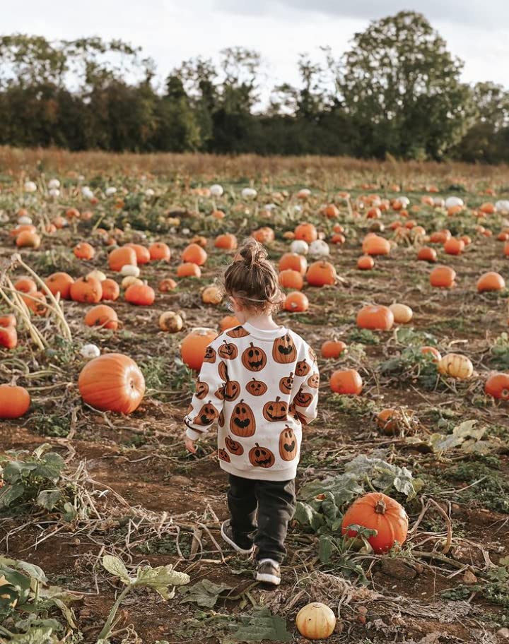 Toddler Baby Halloween Outfit Boy Girl Pumpkin Sweatshirt Crewneck Pullover Sweater Long Sleeve Shirt Fall Clothes (Oversized Pu