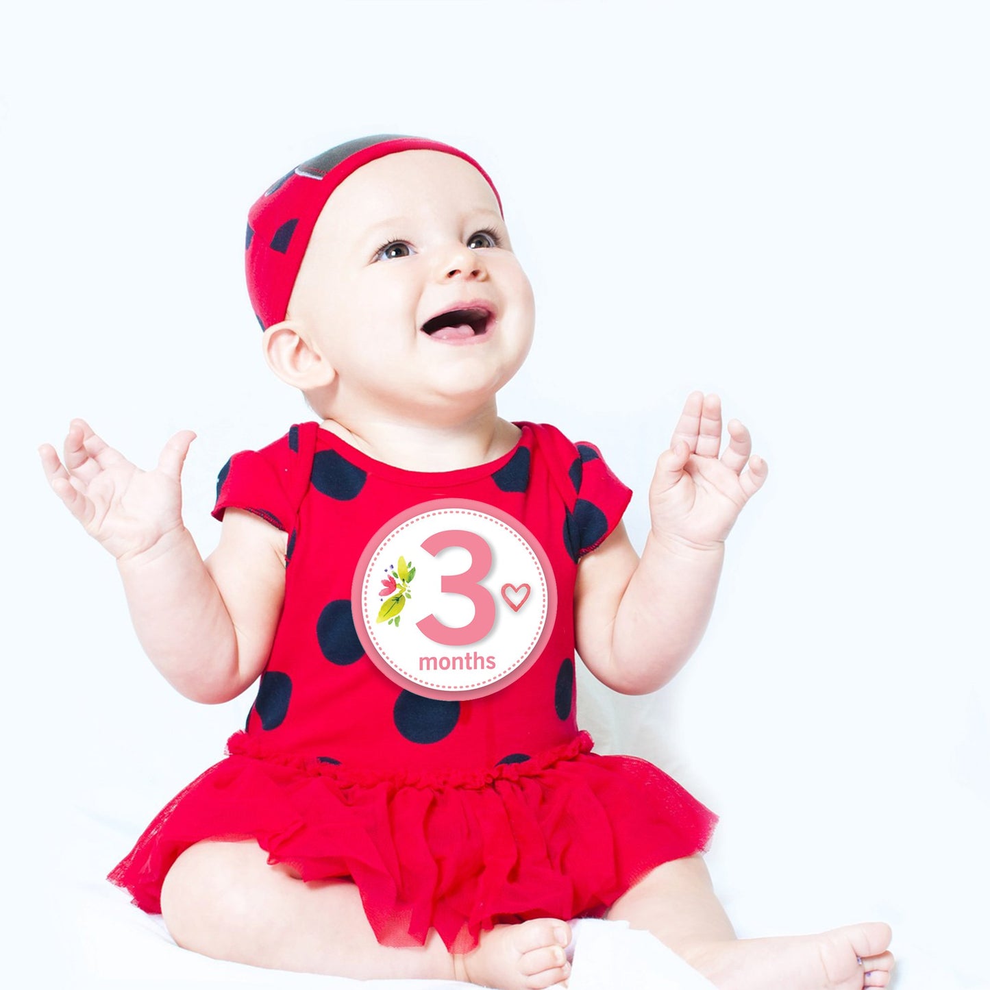 Baby Monthly Milestone Stickers For Girls By Turtlesurfers | Floral Designs With Holiday Themes Included! | All Months And First