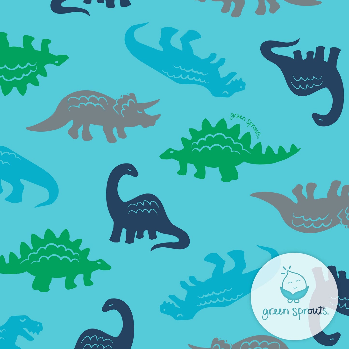 green sprouts Boys Reusable Swim Diaper, Aqua Simple Dino, 6 Months