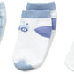 Country Kids Boys' Newborn Digger Truck Socks 3 Pairs, Baby Blue/White, 3-12 Months