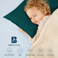 Pack Of 2 Toddler Travel Pillow Cases 100% Soft Egyptian Cotton, 500 Thread Count With Zipper Closure For Small Travel Pillowcas