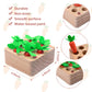 Montessori Toys for 1 Year Old, Carrots Harvest Wooden Baby Toys for 6-12 Months Educational Shape Sorting Matching Toys for Tod