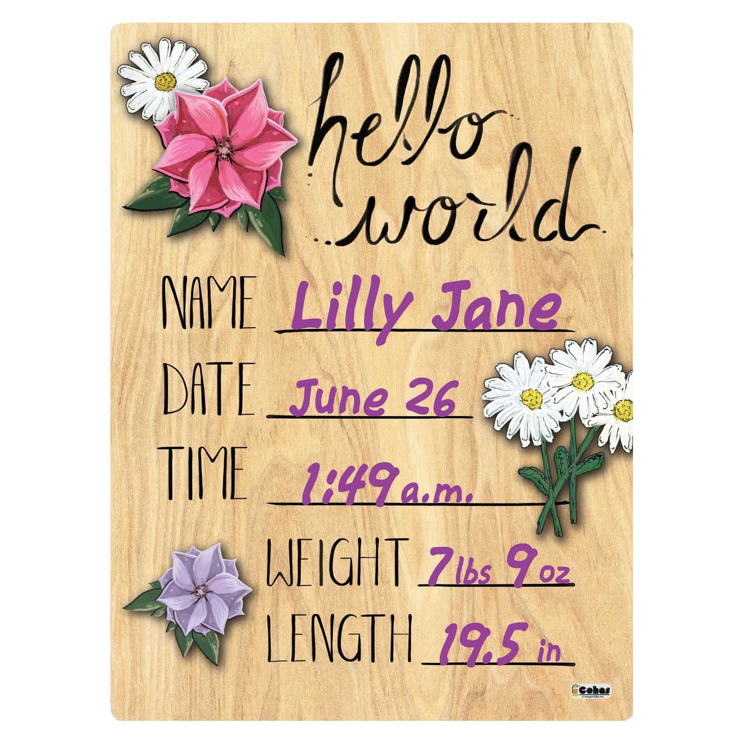 Cohas Hello World Newborn Baby Announcement Printed Wood Sign With Mixed Flower Theme, 9 By 12 Inches, No Marker