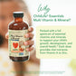 Childlife Essentials Kids Multivitamin & Mineral - Kids Vitamins, Liquid Multivitamin For Kids, Toddler Multivitamins, Liquid Vi