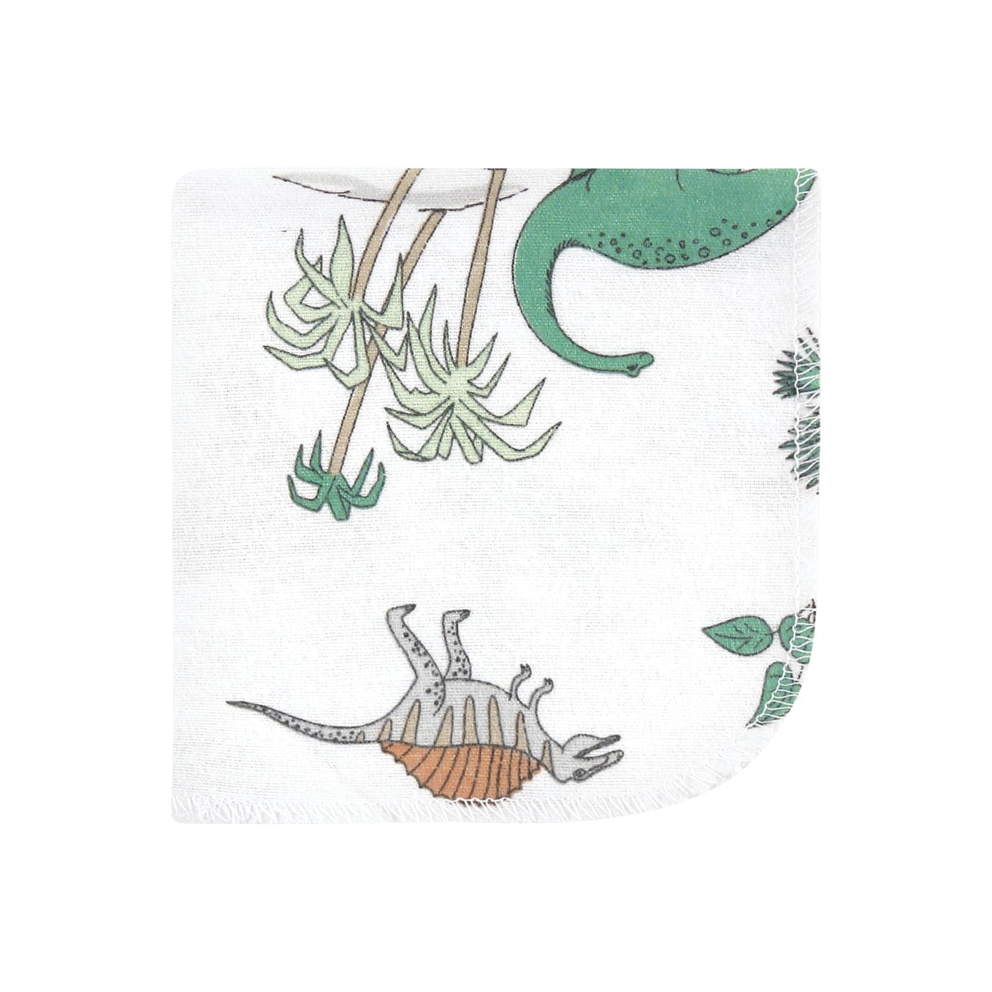 Hudson Baby Unisex Baby Flannel Washcloths, Boy Dino World 10Pk, One Size