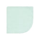 Hudson Baby Unisex Baby Flannel Washcloths, Eucalyptus 10Pk, One Size