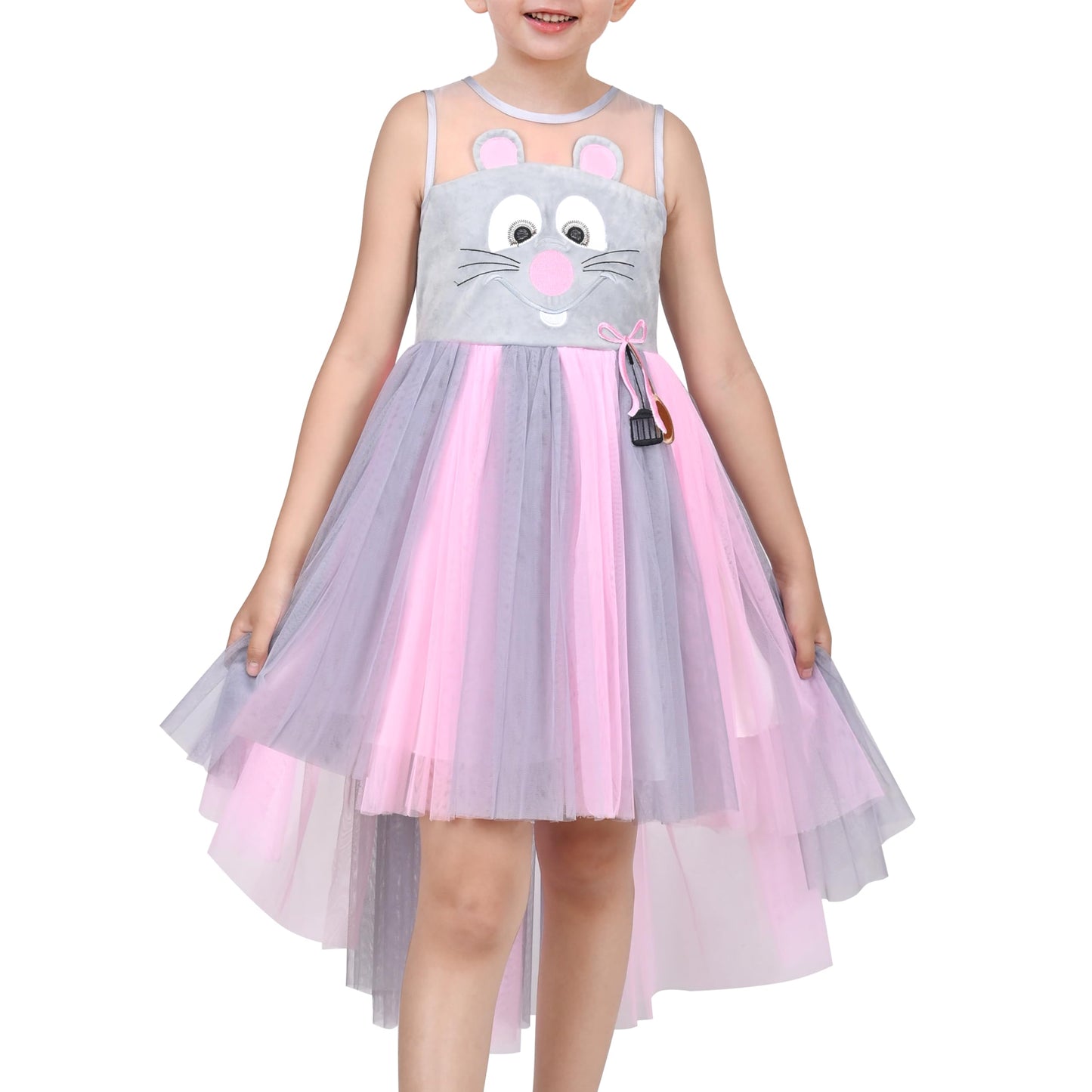 Girls Dress Mouse Cartoon Mesh Tulle Kitchen Embroidery Party Costume Halloween Size 6
