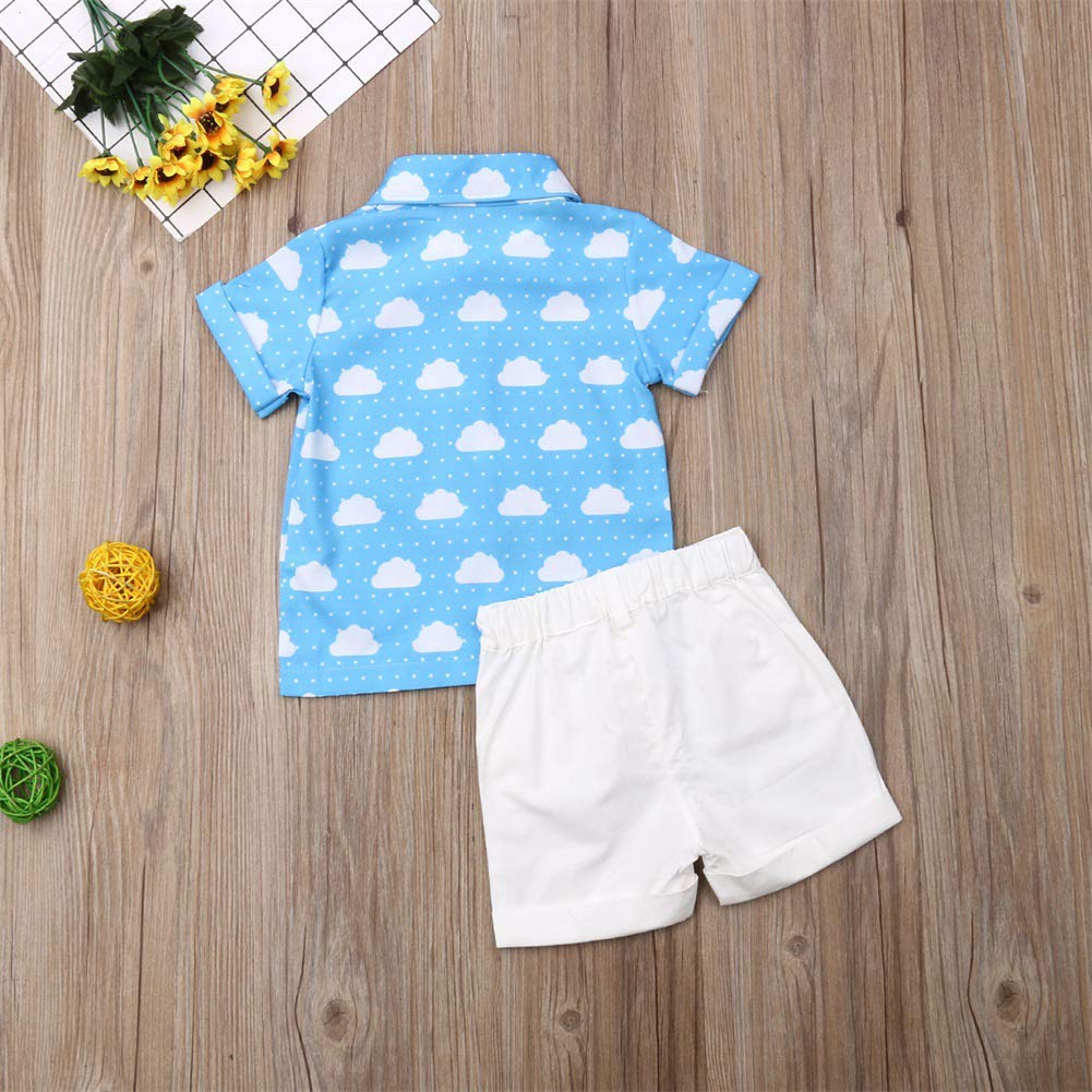 Visgogo Toddler Baby Boy Flamingo Short Sleeve Button Down Shirt & Casual Shorts Set Summer Outfits 1-6 Years Clothes