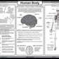 Tot Talk Human Body Educational Placemat For Kids - Made In Usa - Durable, Double-Sided, Body'S Biology, Including Its Systems,