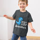 Funnycokid Big Brother Shirt 5T 4T Dinosaur For Toddler Boys Promoted To Big Brother Grey Size 5 Pregnancy Announcement Gifts Fo