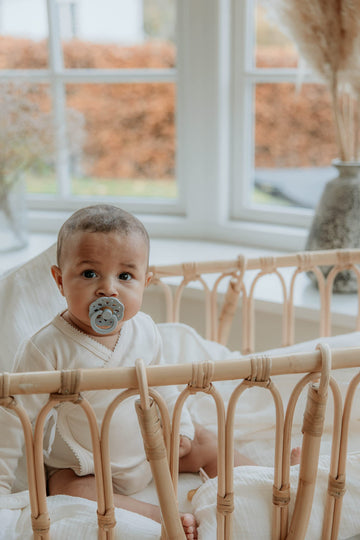 Bibs Pacifiers - Boheme Collection | Bpa-Free Baby Pacifier | Made In Denmark | Set Of 2 Blossom/Dusky Lilac Color Premium Sooth