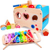 rolimate Hammering Pounding Toys Wooden Educational Toy Xylophone Shape Sorter, Birthday Gift for 1 2 Years Boy Girl Baby Toddle