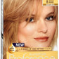 L Oreal Superior Preference Hair Color 8 Medium Blonde