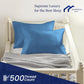 Toddler Travel Small Pillowcase 12X16 Inch Set Of 2, Mini Pillow Case With Zipper Closure 500 Thread Count 100% Soft Egyptian Co