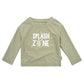 Gerber Baby Boy'S Toddler Long Sleeved Rashguard Swim Bathing Suit Set, Turtles, 2T