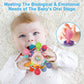 Baby Montessori Sensory Toys for 0-6 6-12 Months, Baby Teether Teething Toys for Babies 0 3 6 9 12 18 Months, Newborn Infant Lea