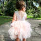 2Bunnies Girl Beaded Peony Lace Back A-Line Tiered Tutu Tulle Flower Girl Dress (Pink Sleeveless Short, 12M)