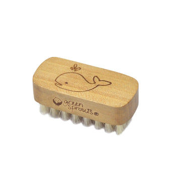 Green Sprouts Baby Nail Brush, Gently Cleans Babys Nails, Soft, Natural Bristles For Comfort, Easy To Grasp Wood Handle, Made Fr