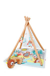 Skip Hop Baby Play Gym, Camping Cubs, Green