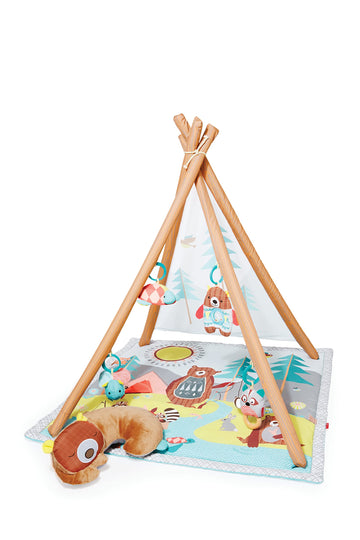 Skip Hop Baby Play Gym, Camping Cubs, Green