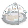 Ingenuity Sheppys Spot Ultra Plush Baby Activity Gym & Tummy Time Mat, Newborn And Up - Corrie