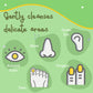 Baby Cotton Swabs 220 Count | Biodegradable & Organic Wooden Cotton Buds | Double Tipped Safety Ear Sticks | 100% Eco-Friendly &