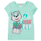 Paw Patrol Everest Little Girls Cosplay Costume T-Shirt Mesh Skirt Tulle Cape And Mask 4 Turquoise 6-6X