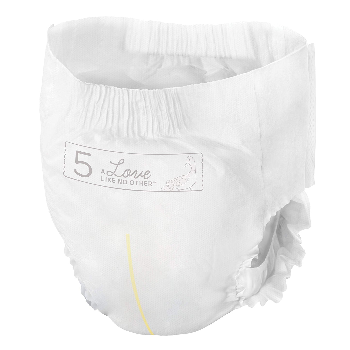 Bambo Nature Premium Training Pants (Sizes 4 To 6 Available), Size 5, 100 Count