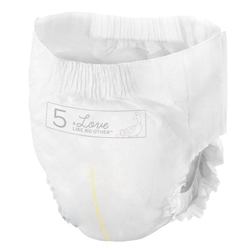 Bambo Nature Premium Training Pants (Sizes 4 To 6 Available), Size 5, 100 Count