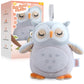 FUNYKICH Owl Baby Sound Machine with Red Light, Rechargeable Baby Sleep Soother, 12 Soothing Sounds, Recording&Wireless Speaker,