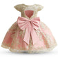 Nnjxd Baby Girl Dress Flower Embroidery Princesstutu Pageant Party Gown 2006 Pink Size(120) 4-5 Years
