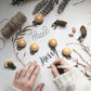 24 Pieces Natural Beech Wood Pacifier Clips Teething Grasping Toy Suspender Clips Charm Diy Pacifier Clips Holder Accessories