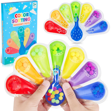 Color Sorting Toys Sensory Toys : Fine Motor Skill Games Learning Toys for Toddlers, Color Matching Fidget Sensory Toys for Calm