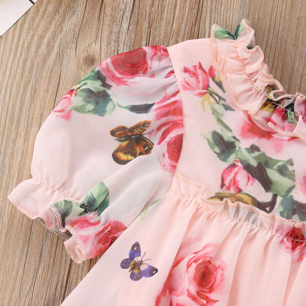 Toddler Baby Girls Flower Print Ruffles Princess Dress Sundress Clothes Outfit (2-3 T, Pink)