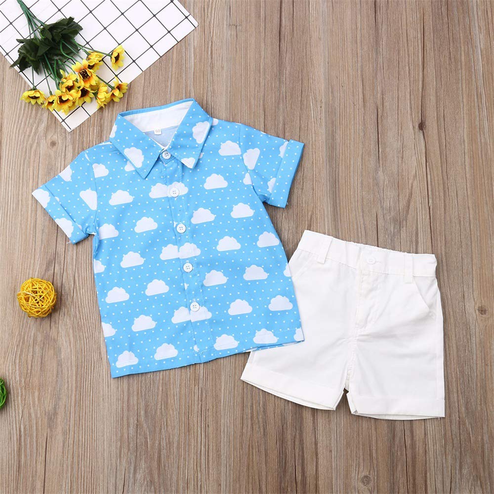 Visgogo Toddler Baby Boy Flamingo Short Sleeve Button Down Shirt & Casual Shorts Set Summer Outfits 1-6 Years Clothes