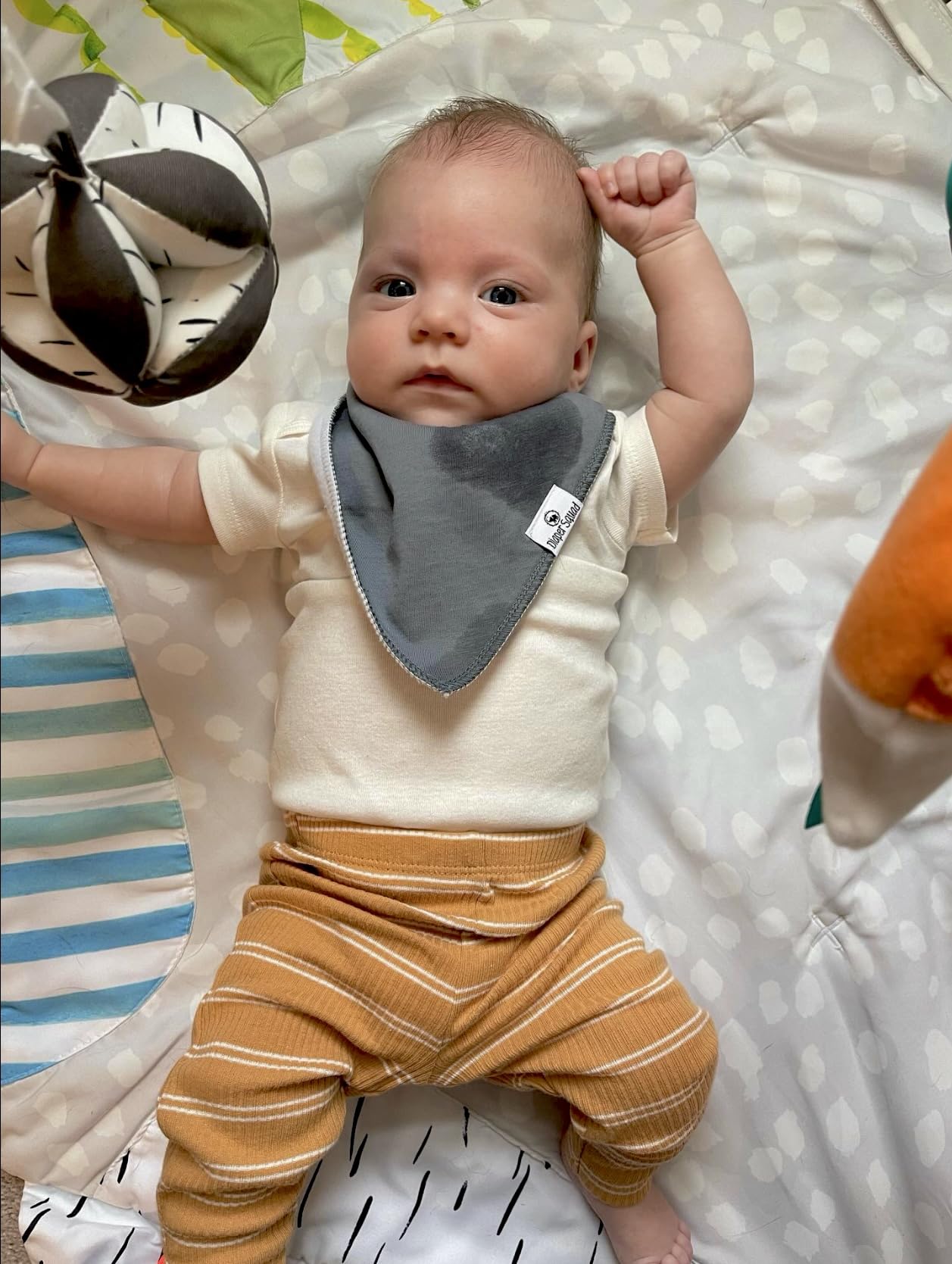 Diapersquad'S 5-Pack Baby Bibs For Drooling And Teething, Bibs For Boys, Baby Girl - Solid Cotton Baby Drool Bibs (Basics)