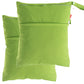 Damero 2pcs Travel Wet Dry Bag, Reusable Swimsuit Bag for Wet Clothes with Handle(Large, 2 pcs Green)