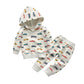 Toddler Infant Baby Boy Clothes Car Long Sleeve Hoodie Tops Sweatsuit Pants Outfit Set (2-3T)