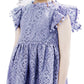 2Bunnies Girl Baby Toddler Vintage Lace Pom Pom Flutter Sleeve Easter Birthday Outfit Dress (Dusty Blue, 6M)