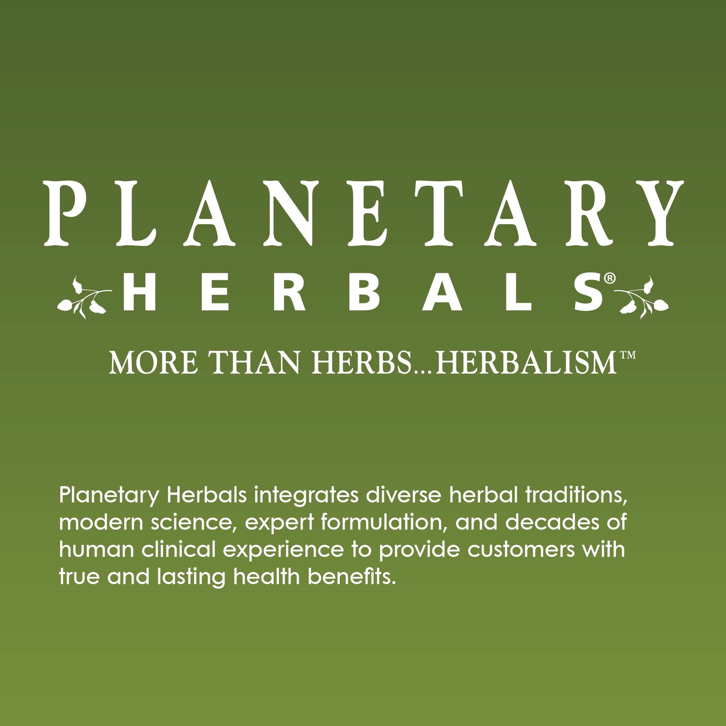 Planetary Herbalswild Cherry Bark Syrup For Kids - 8 Ounces