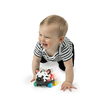 Baby Einstein Curious Car Zen Oball Toy Car & Rattle, Light Up, Ages 3 Months+, Zen The Zebra
