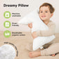 2-Pack Toddler Pillow - Soft Organic Cotton Toddler Pillows For Sleeping - 14X20 Jumbo Pillow For Kids - Kids Pillows For Sleepi