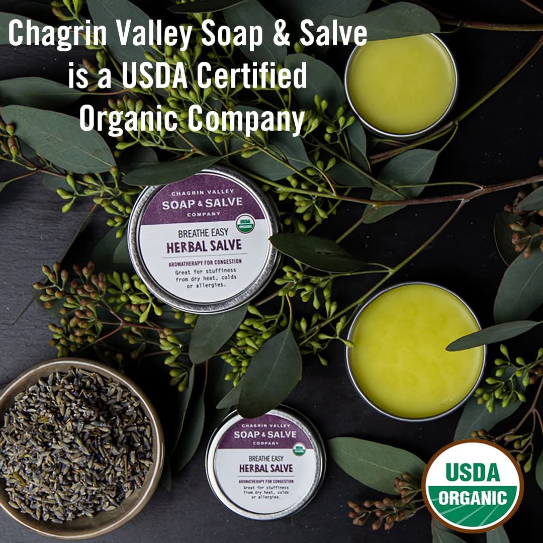 Chagrin Valley Soap & Salve Natural Organic Baby Soap - Unscented, Mild & Moisturizing Goat Milk & Honey Soap For Babies, Childr