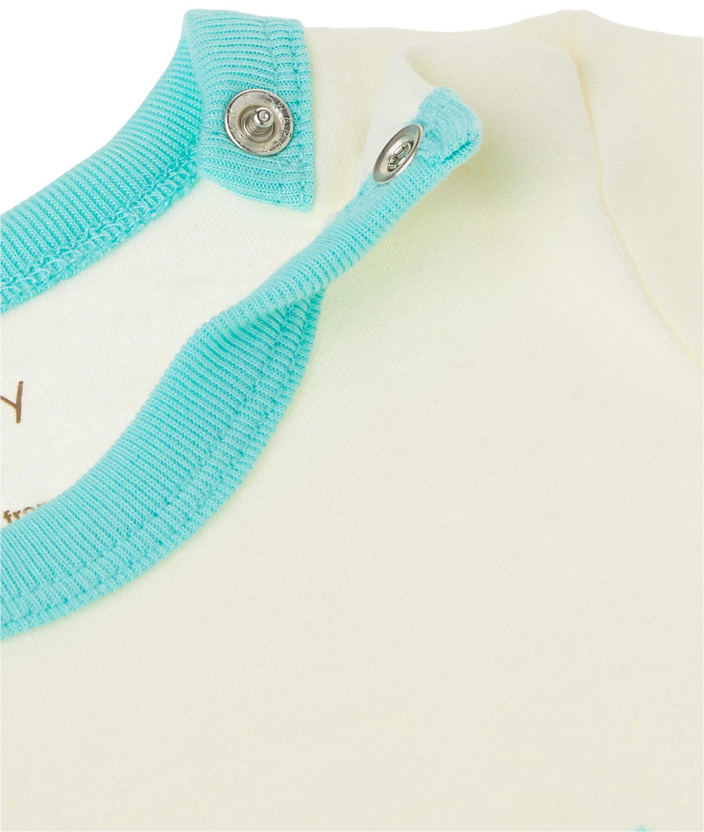 Babysoy Unisex Organi Baby Onepiece Bodysuit (0-3 Months, Octopus)