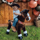 PonyCycle Ride on Horse Toy Walking Rocking Horses Classic Model U (with Brake/ 36 Height/Size 4 for Age 4-8 Boy Gifts) Ride Hor
