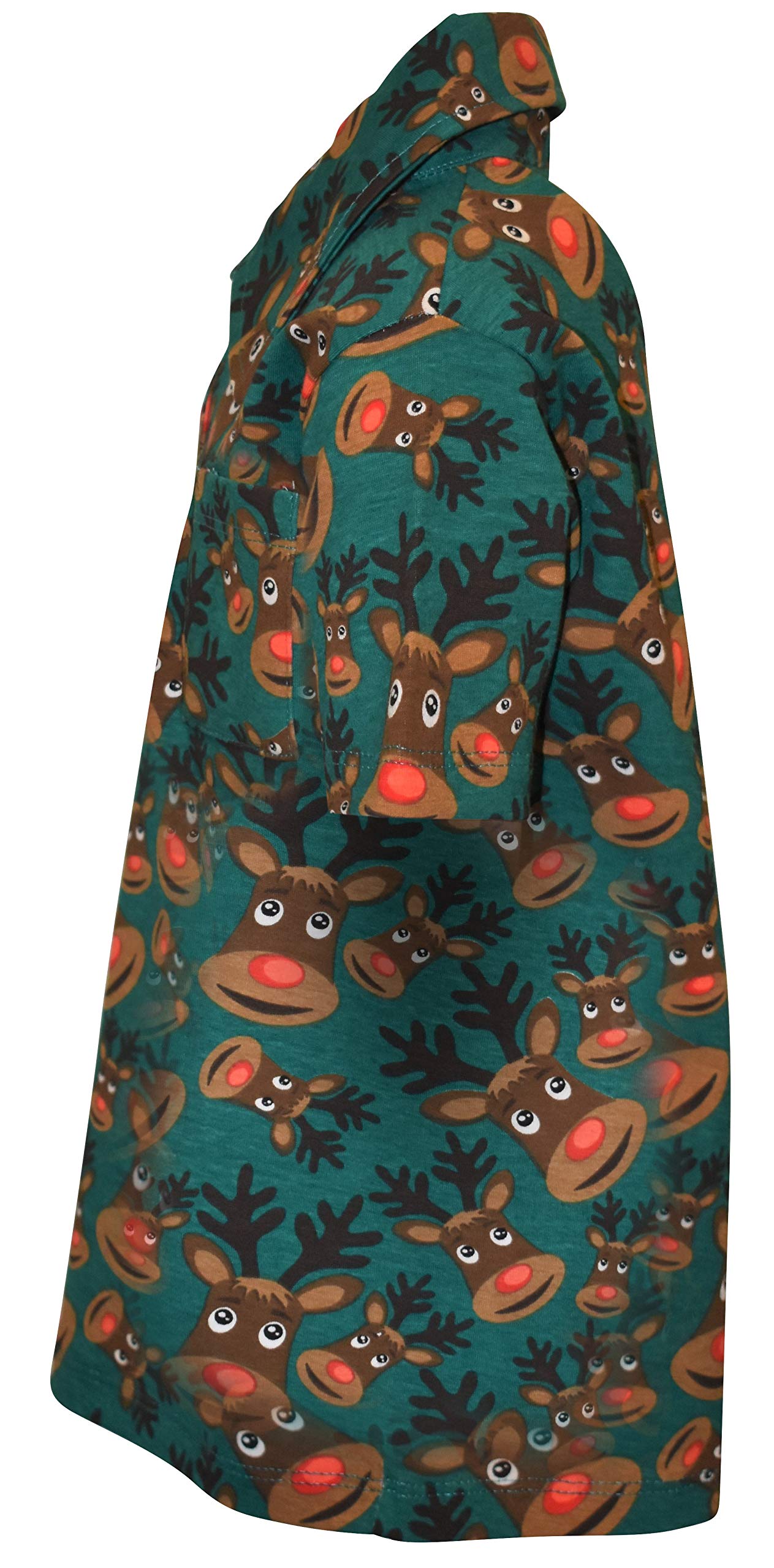Unique Baby Boys Green Reindeer Collared Christmas Polo T Shirt (5, Reindeer)