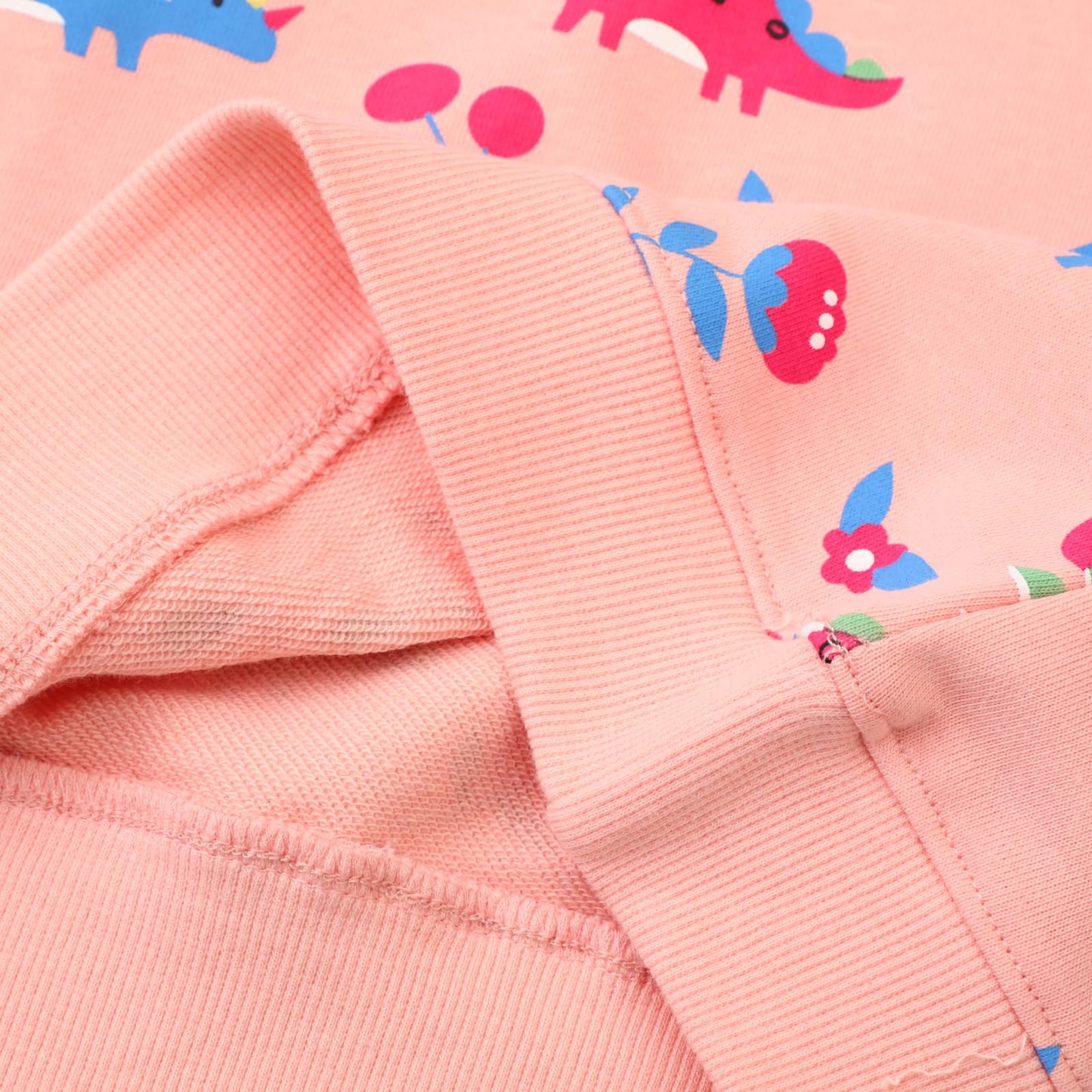 Dinosaur Sweatshirt Girls Long Sleeve Crewneck Cotton Animal Pullover Kids Winter Pink Sweaters Tops Toddler Girl Dino Shirts 7T