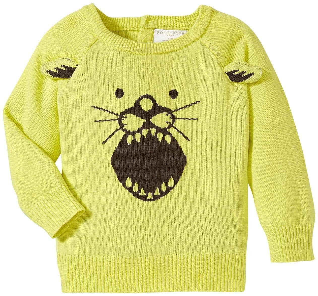 Rosie Pope Baby Baby Boys' Sweater Rpb10331-06, Multi-Colored, 18 Months