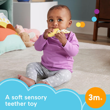 Fisher-Price Baby Toy Snuggle Bunny Teether, BPA-Free Sensory Activity for Developmental Play for Newborns Ages 3+ Months