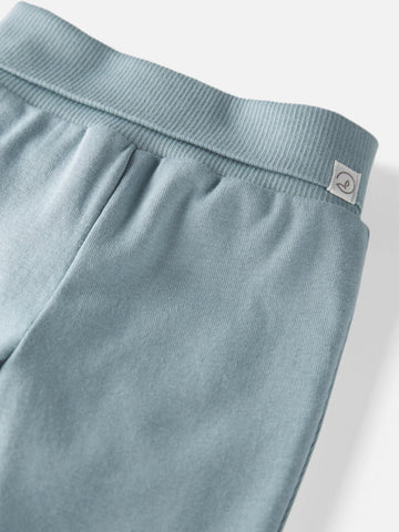 Little Planet By Carter'S Unisex-Baby 2-Pack Pants Made With Organic Cotton, Blue Creek/Grey, Newborn